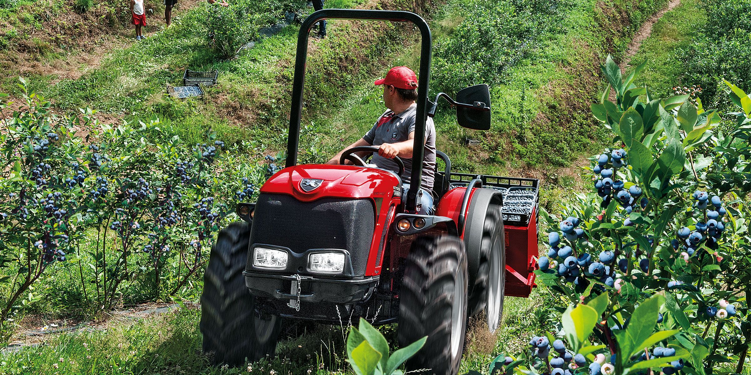 Antonio Carraro Tractors Tigre 4000. 