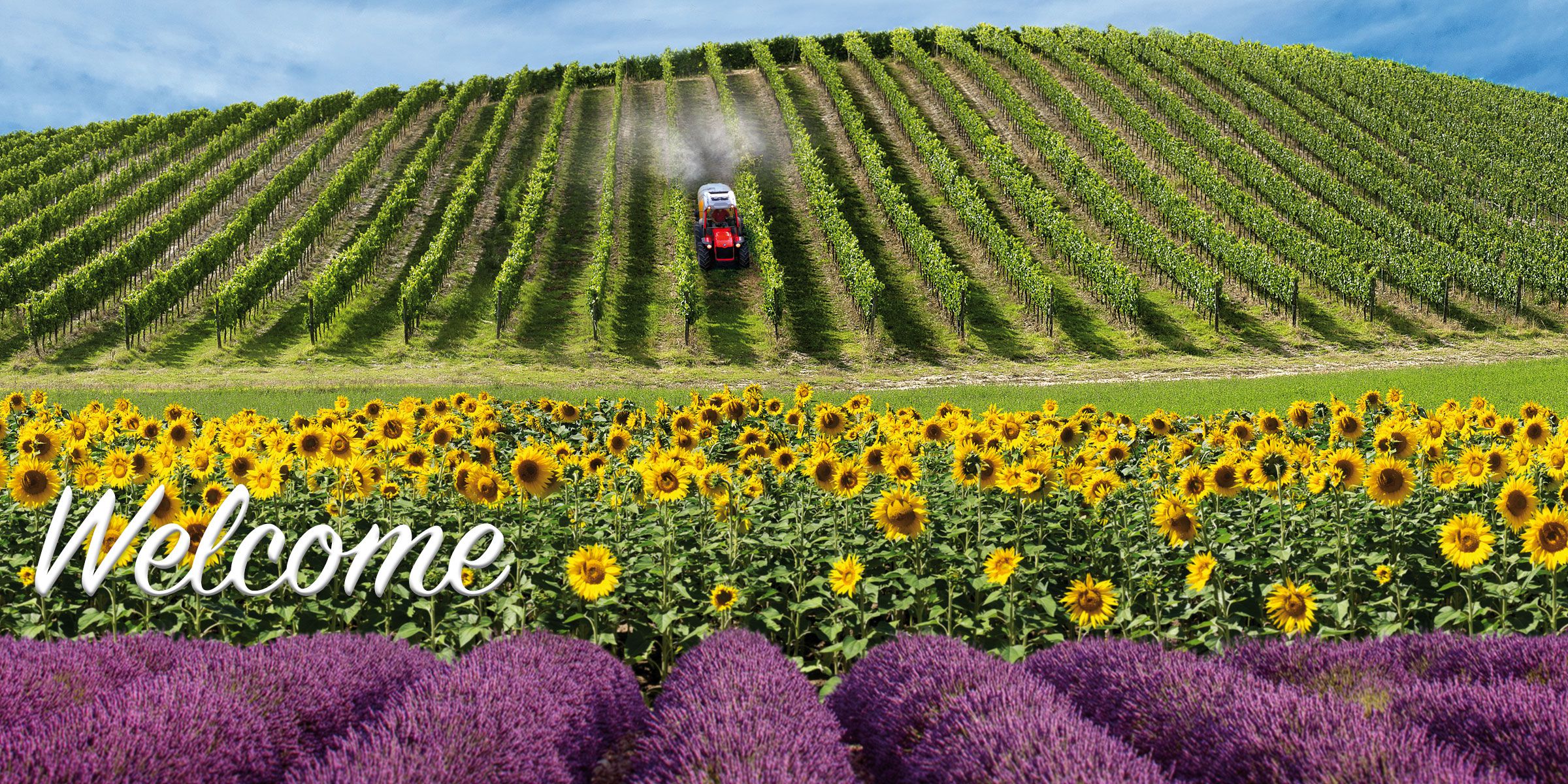 Antonio Carraro, italian company leader in the production of compact tractors for specialized agriculture