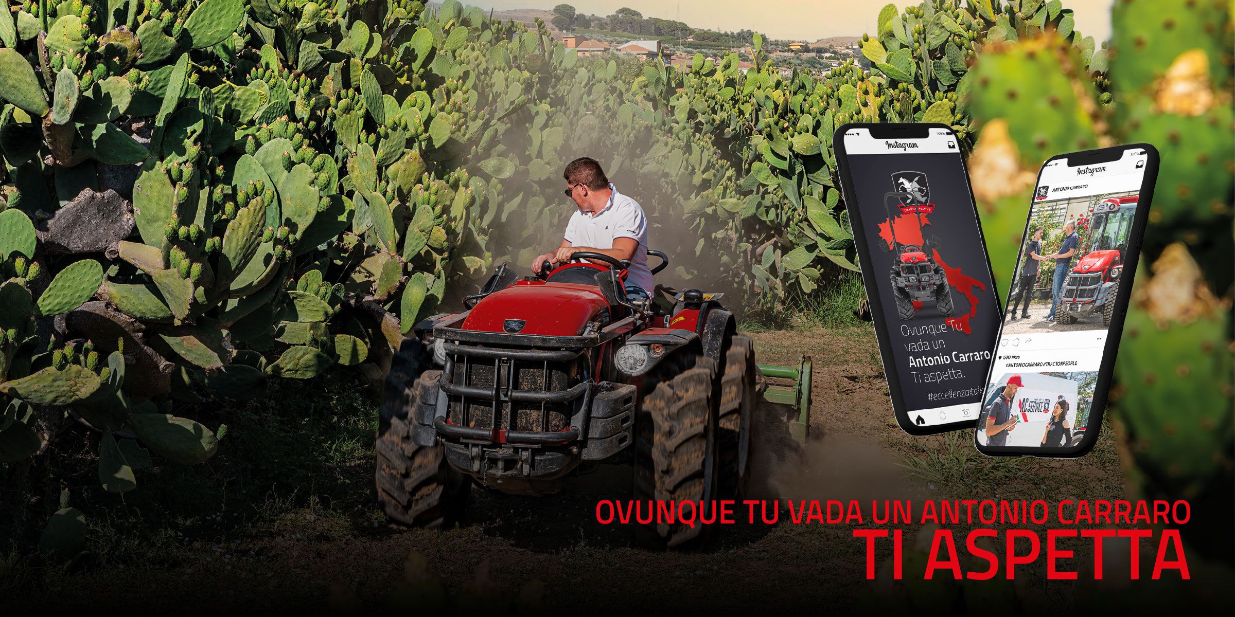 FIERA DEL LEVANTE BARI