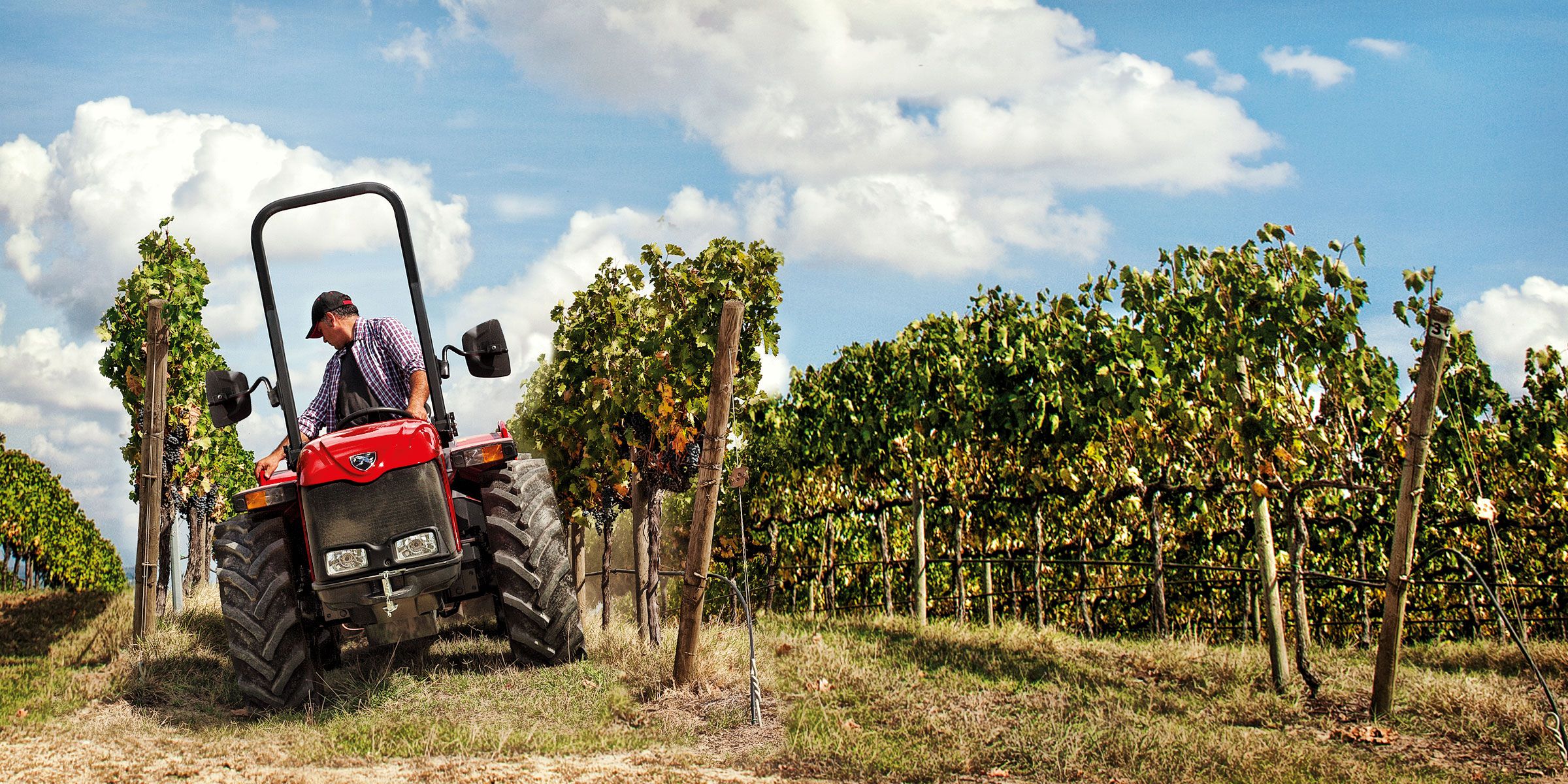 Antonio Carraro | Tracteurs | TN Major Antonio Carraro TN Major, tracteur isodiamétrique avec corps rigide