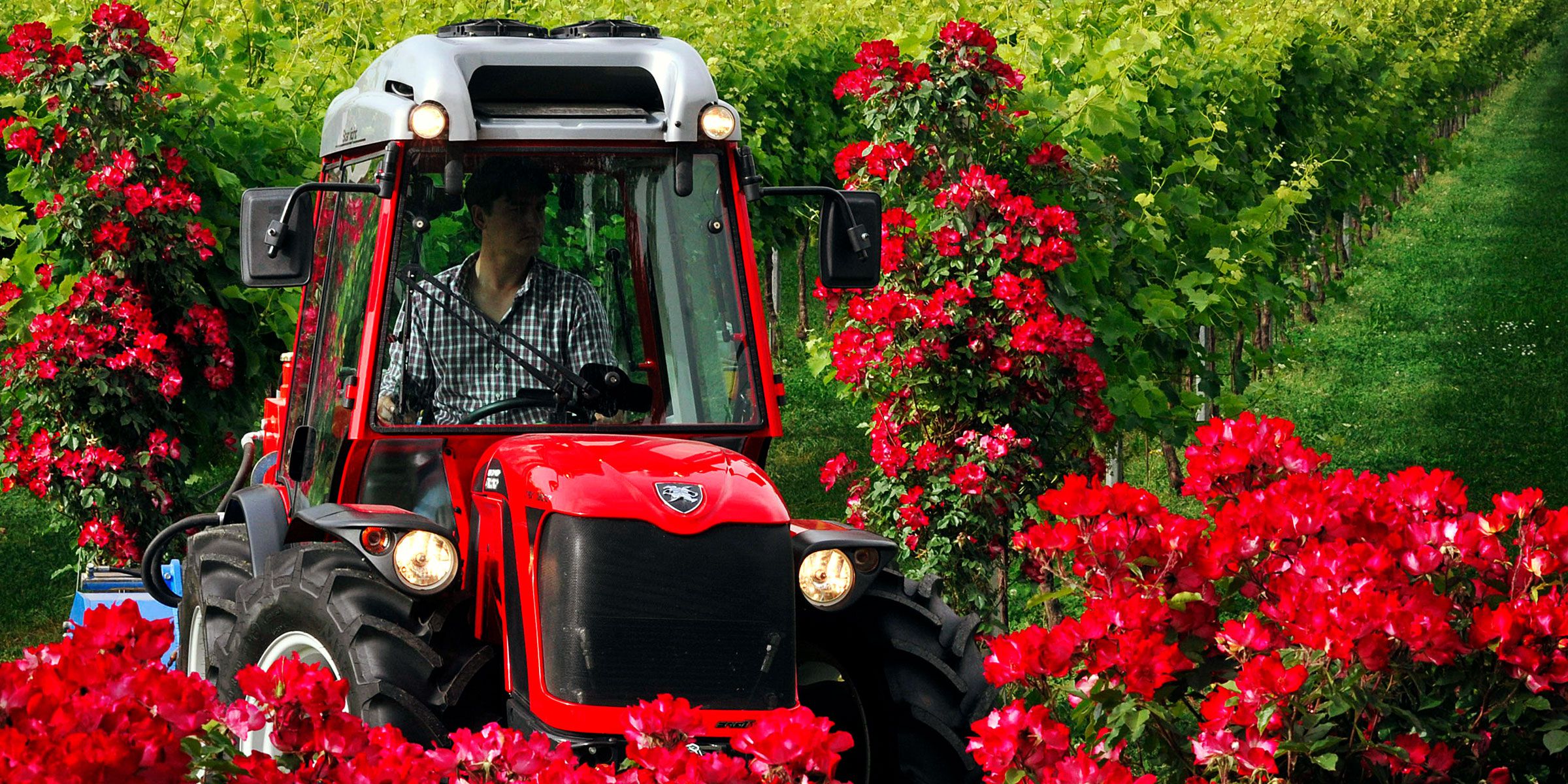 Antonio Carraro | Tractors | TRX Ergit S - TX Ergit S Starlight cab for Antonio Carraro TRX Ergit S - TX Ergit S tractor
