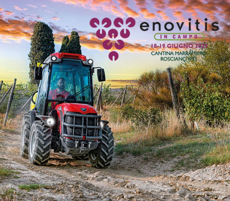 ENOVITIS IN CAMPO | ANTONIO CARRARO  PROVE SU VIGNETO