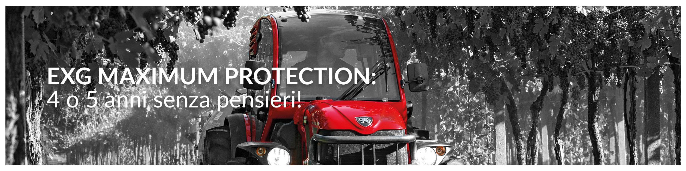 EXG MAXIMUM PROTECTION GUARANTEE